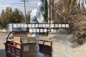 武汉市疫情清零吗现在(武汉疫情数据清零是哪一天)