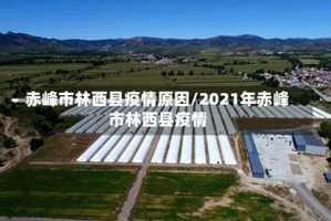 赤峰市林西县疫情原因/2021年赤峰市林西县疫情