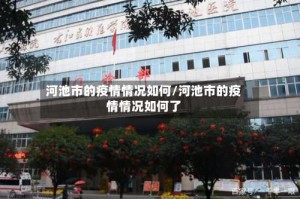 河池市的疫情情况如何/河池市的疫情情况如何了