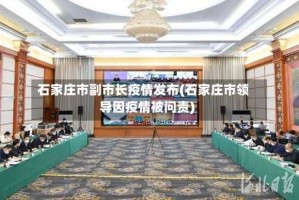 石家庄市副市长疫情发布(石家庄市领导因疫情被问责)