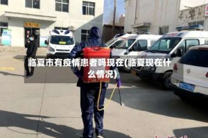 临夏市有疫情患者吗现在(临夏现在什么情况)