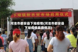 河池市都安县下坳疫情(河池市都安县下坳疫情最新情况)