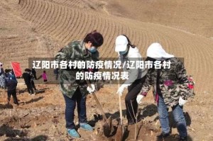 辽阳市各村的防疫情况/辽阳市各村的防疫情况表