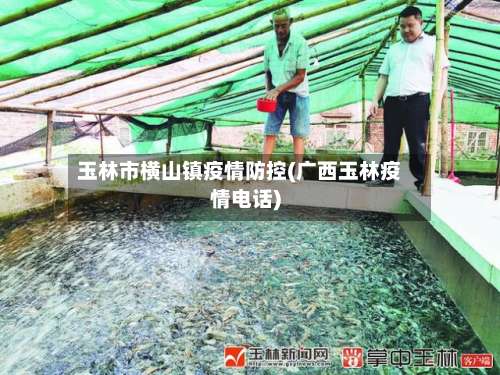 玉林市横山镇疫情防控(广西玉林疫情电话)-第1张图片