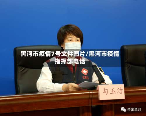 黑河市疫情7号文件图片/黑河市疫情指挥部电话-第2张图片