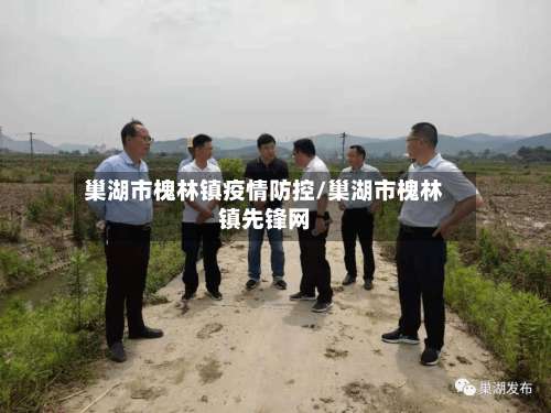 巢湖市槐林镇疫情防控/巢湖市槐林镇先锋网-第1张图片