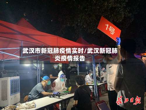 武汉市新冠肺疫情实时/武汉新冠肺炎疫情报告-第2张图片