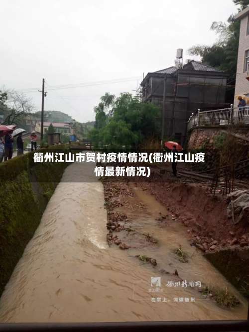 衢州江山市贺村疫情情况(衢州江山疫情最新情况)-第3张图片