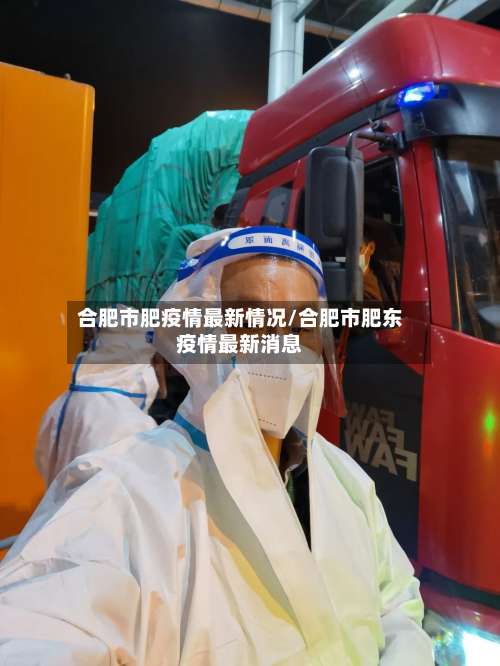 合肥市肥疫情最新情况/合肥市肥东疫情最新消息-第2张图片